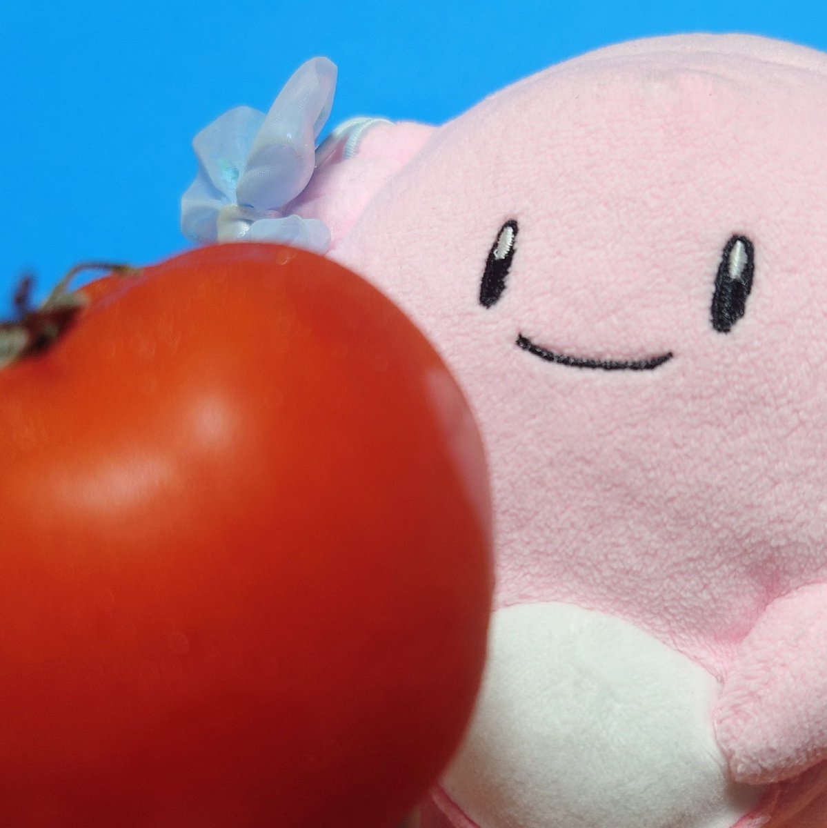 🍅ハッピーリコピン🍅 (@Lico8q0509) / Posts / X