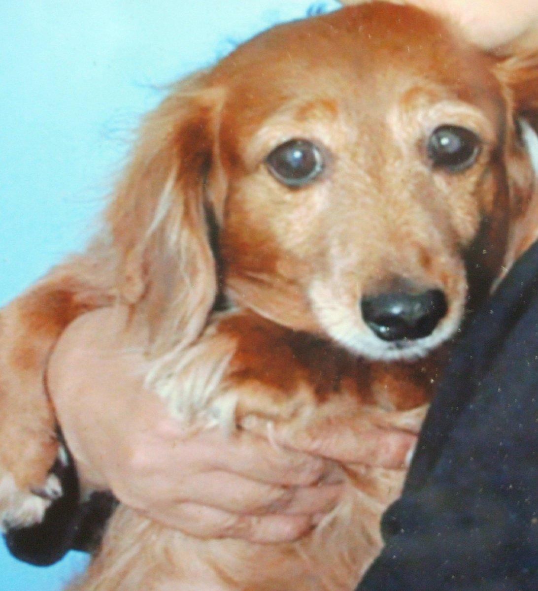 くまぞう🐻Aka.くまくま (@gCnDzEWjLnCXIGO) / Posts / X