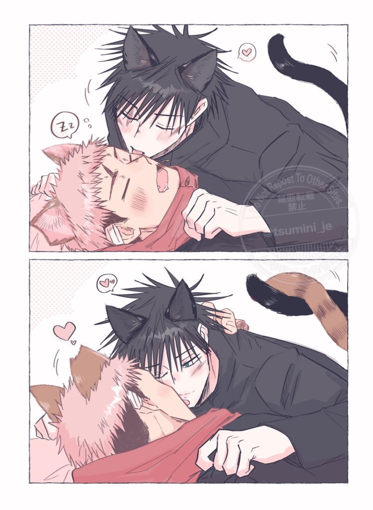 ねこいたふし🐈🩶🐈‍⬛ 