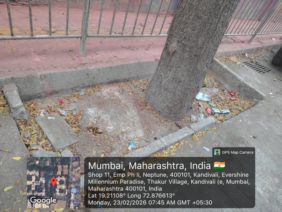 prakashadvani's tweet photo. @mybmc
Trees in our city are silently dying — contractors dumping wet concrete straight over roots, suffocating them. 

Location outside Joggers park
Thakur Village
Kandivali East https://t.co/QWMYDFUG5K
