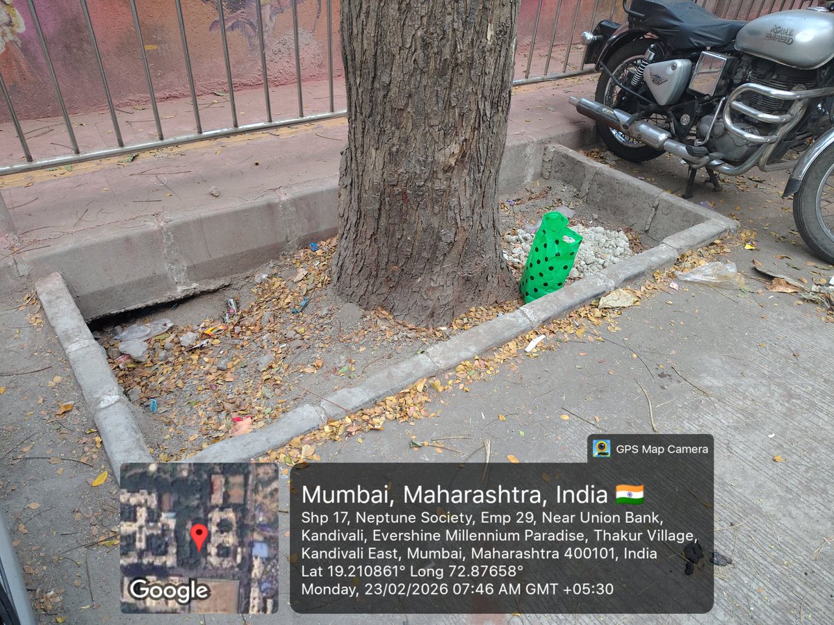 prakashadvani's tweet photo. @mybmc
Trees in our city are silently dying — contractors dumping wet concrete straight over roots, suffocating them. 

Location outside Joggers park
Thakur Village
Kandivali East https://t.co/QWMYDFUG5K