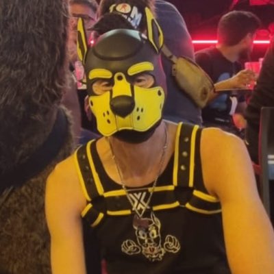 pup_sparkie's tweet photo. #NewProfilePic https://t.co/cDSQPVY1Hf