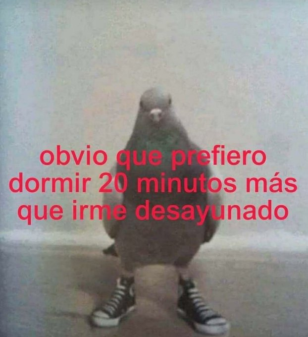 itsD3lay🐧 (@itsd3lay) on Twitter photo 