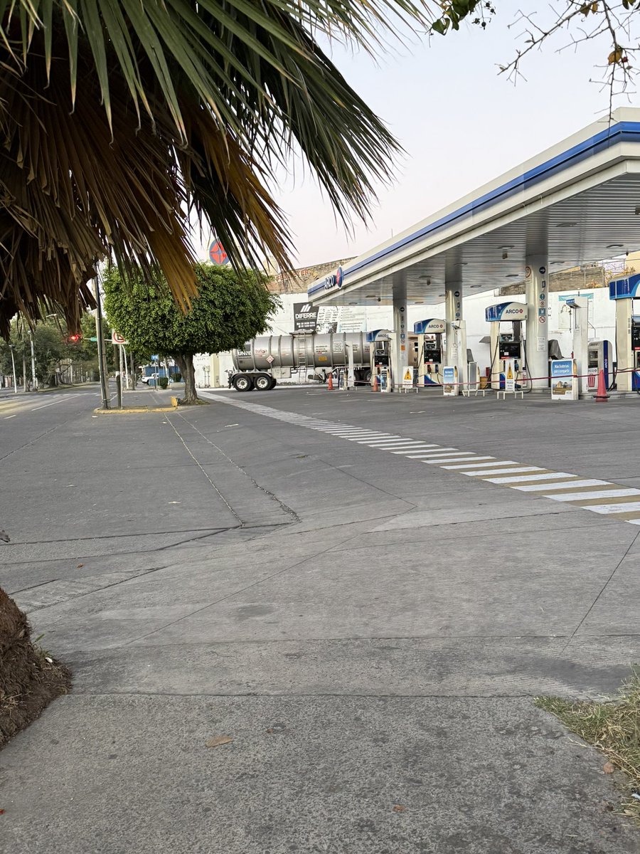 Salvador Camarena tweet media