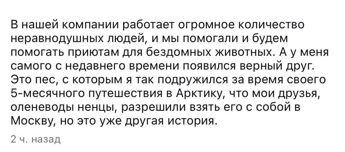 murabye's tweet photo. @lemon_check молчите, барин уже забрал одну собаку у аборигенов 🌚 https://t.co/j8dEAM9UtV