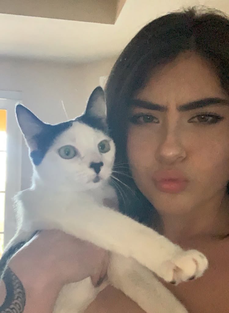 𝒞☘︎ tweet media