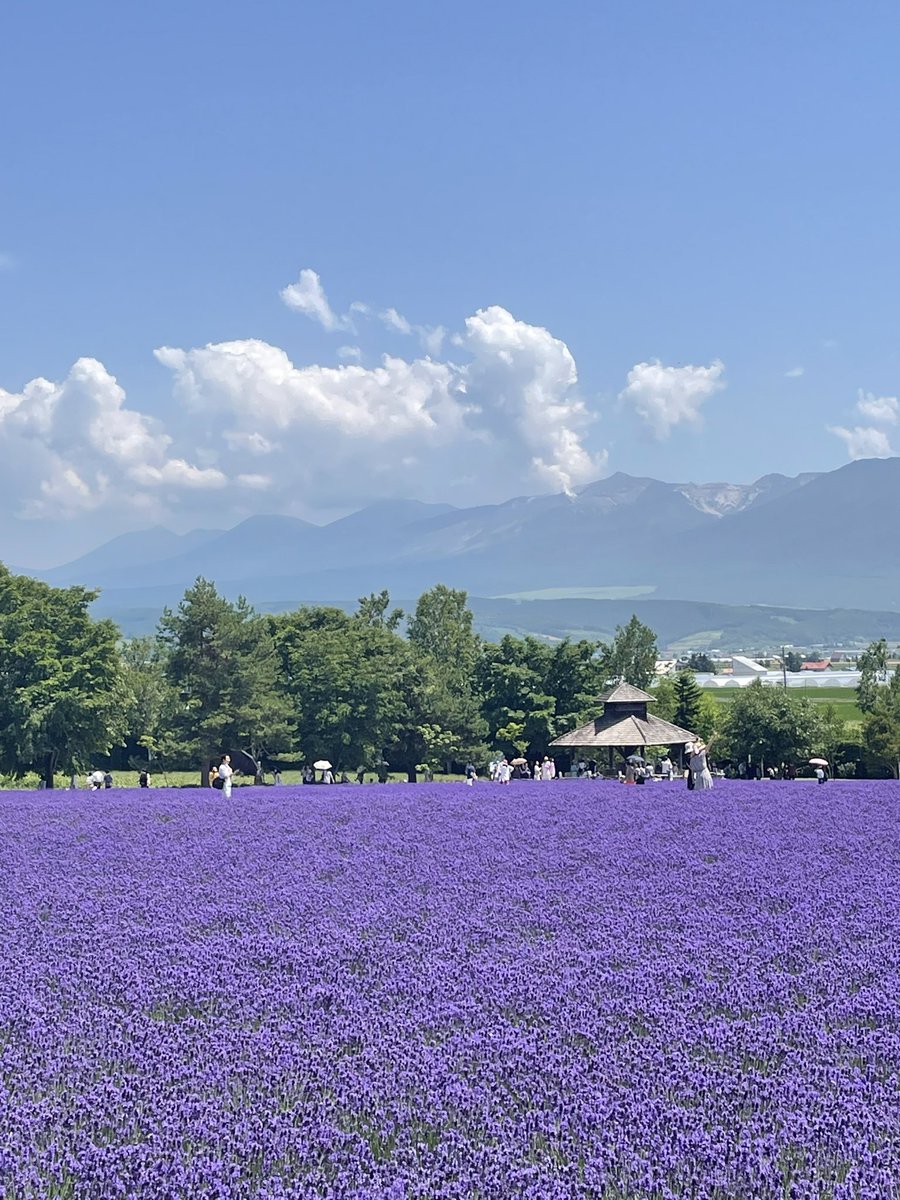 kiki77989591's tweet image. 나의 여름 훗카이도♥ 삿포로♥