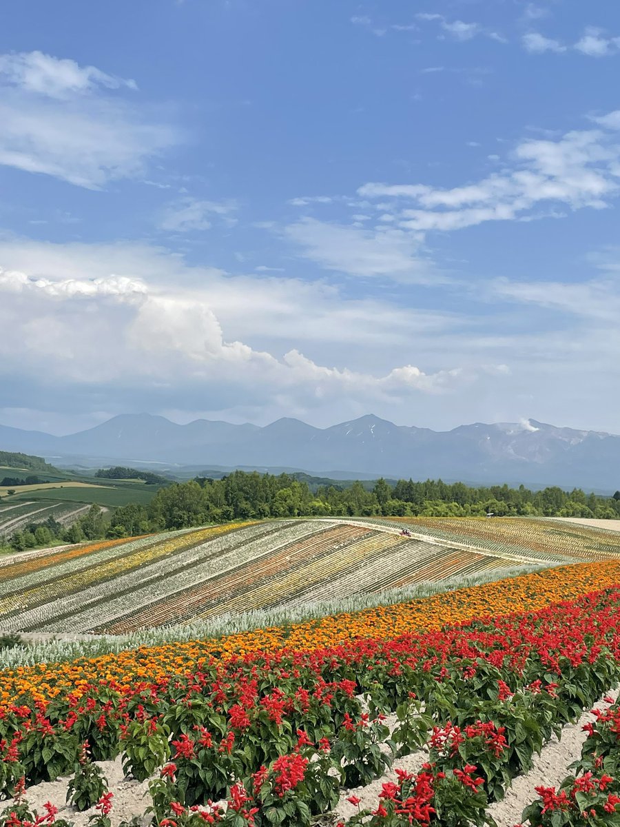 kiki77989591's tweet image. 나의 여름 훗카이도♥ 삿포로♥