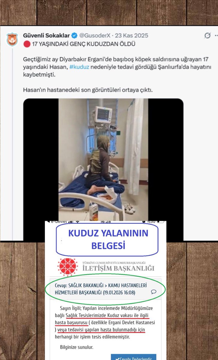 Serap Ulusoy 🦋 tweet media