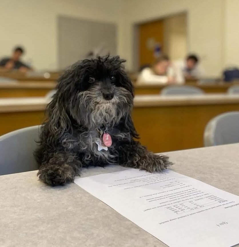 Lucky Lūi 🔞🎨 tweet media