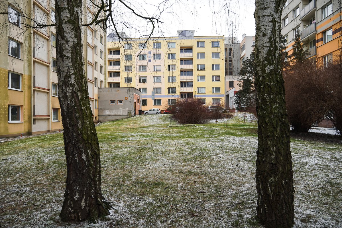 Město Děčín tweet media