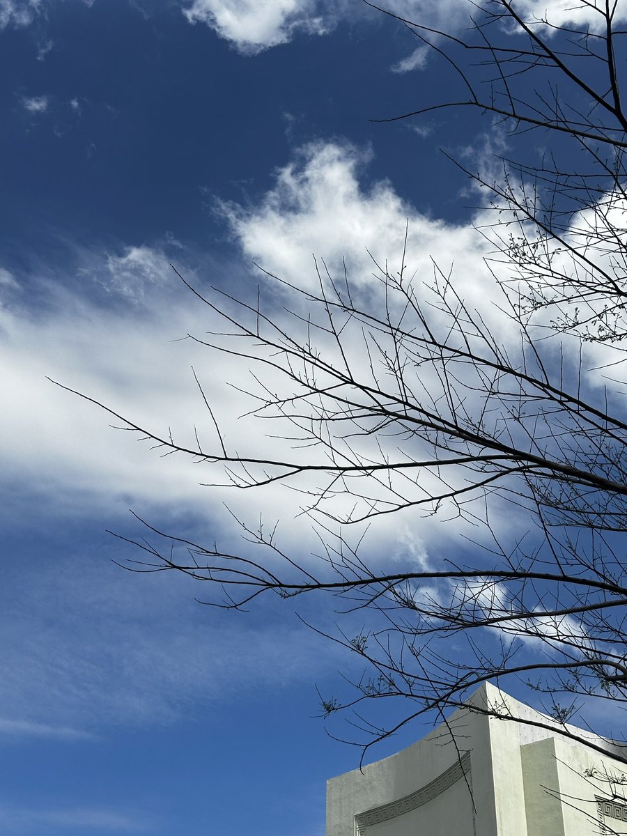 clifford tweet media