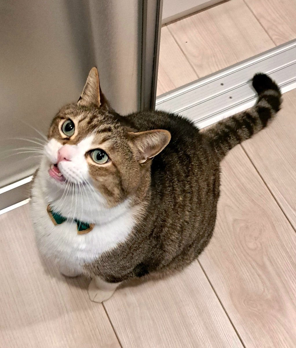 kazu✨ (@kazu0729f) / Posts / X