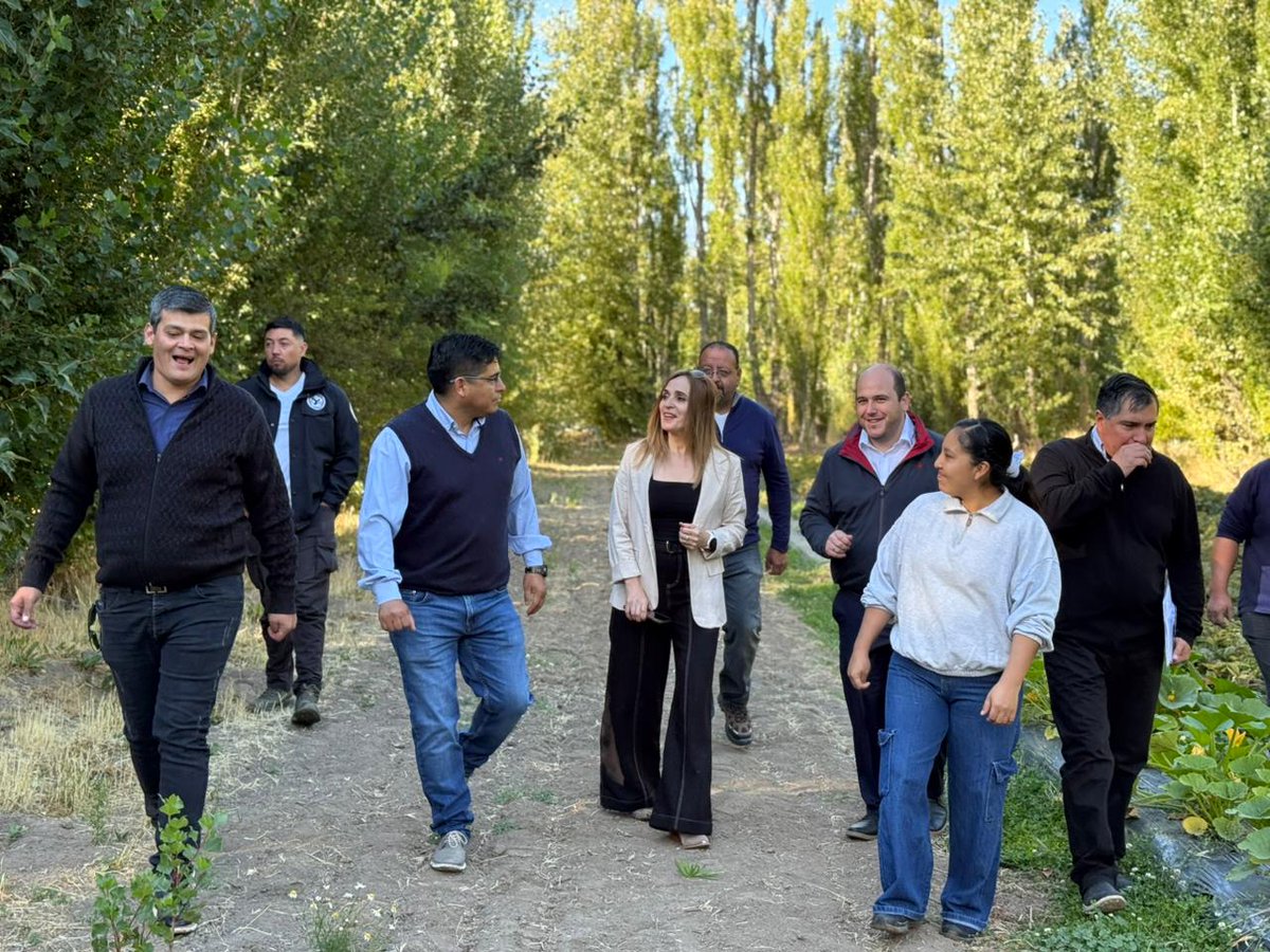 Gobierno de Santa Cruz tweet media