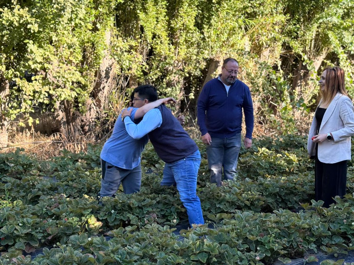 Gobierno de Santa Cruz tweet media