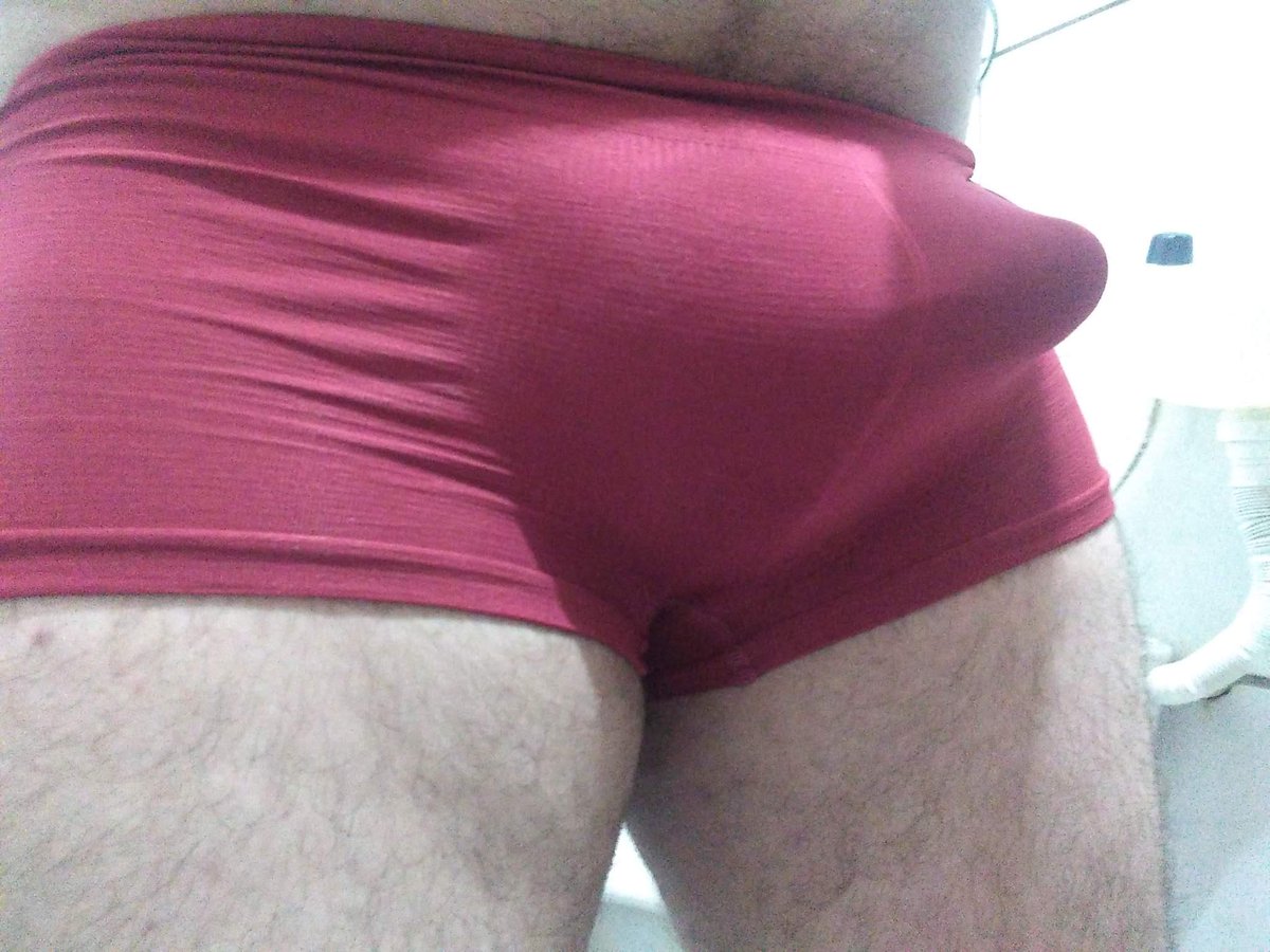 Dom Urso tweet media