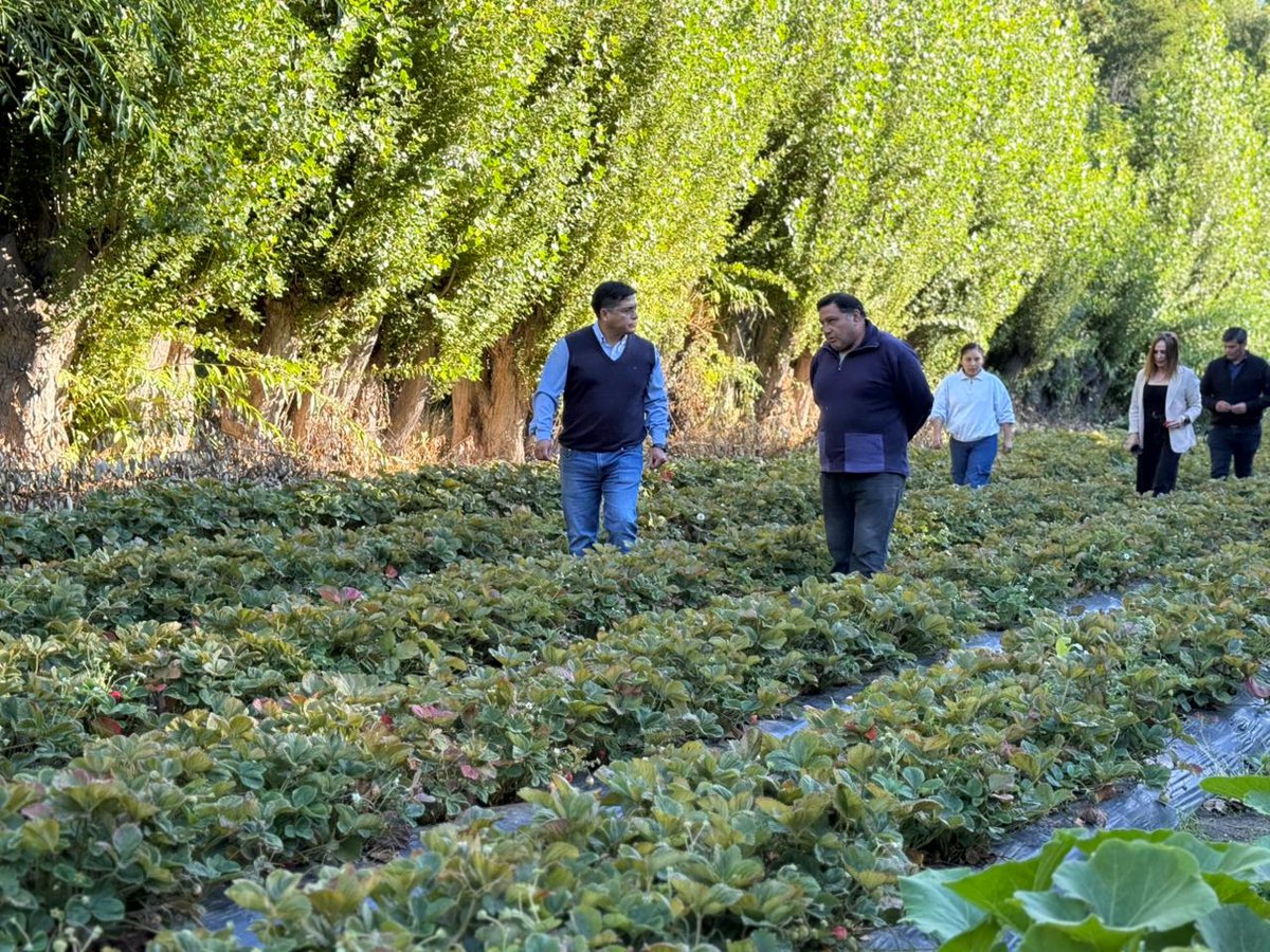 Gobierno de Santa Cruz tweet media