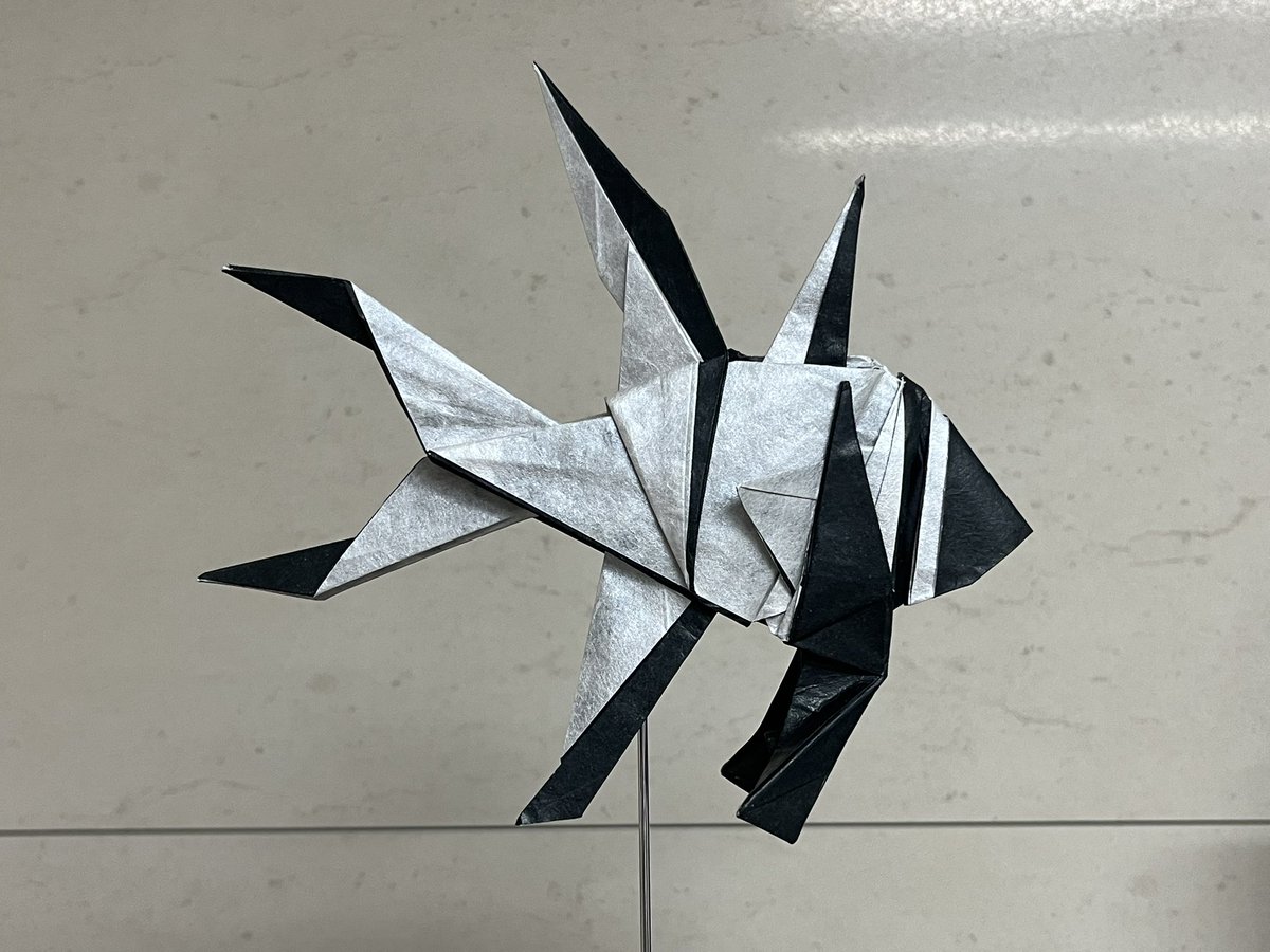 Banggai Cardinalfish