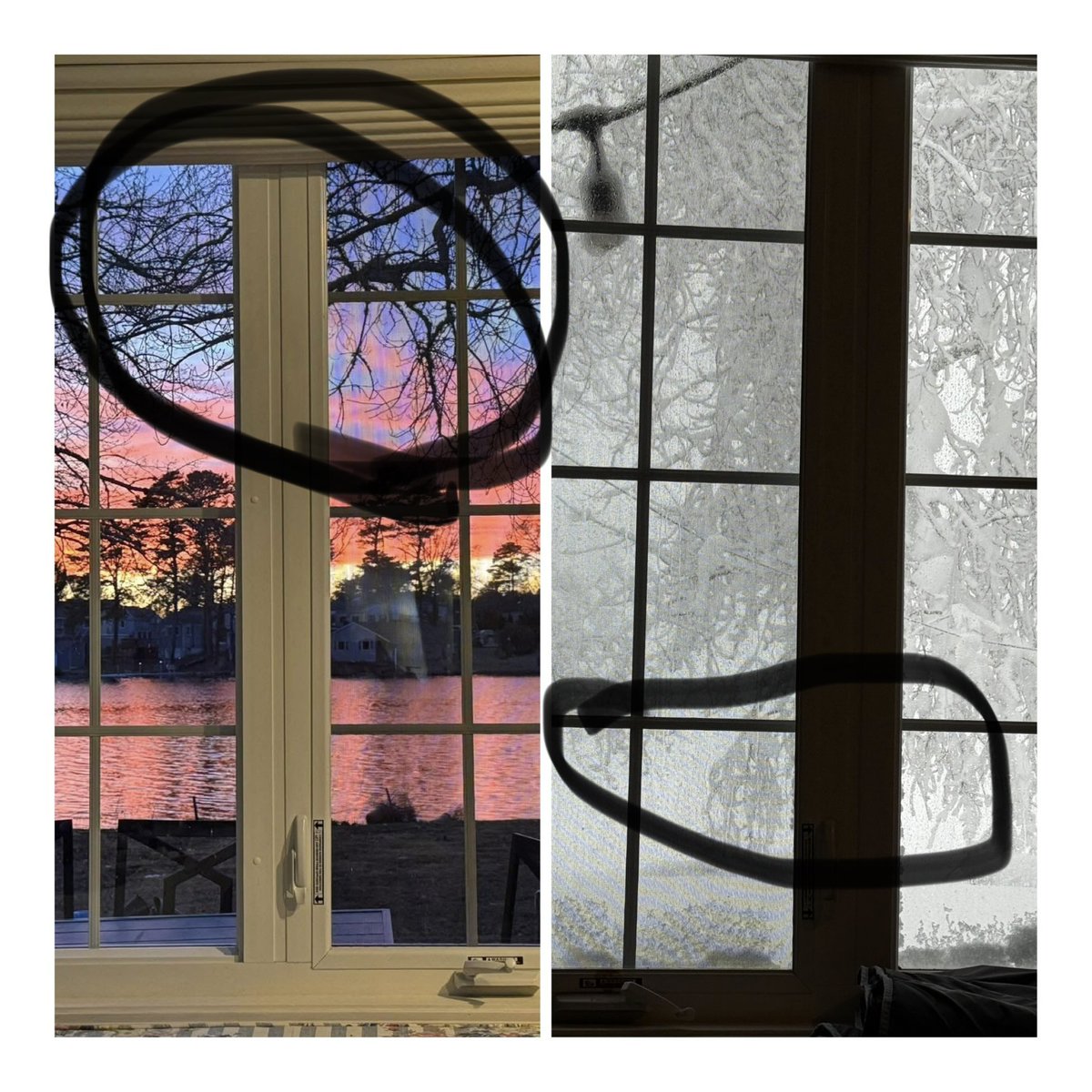 TeamJake tweet media