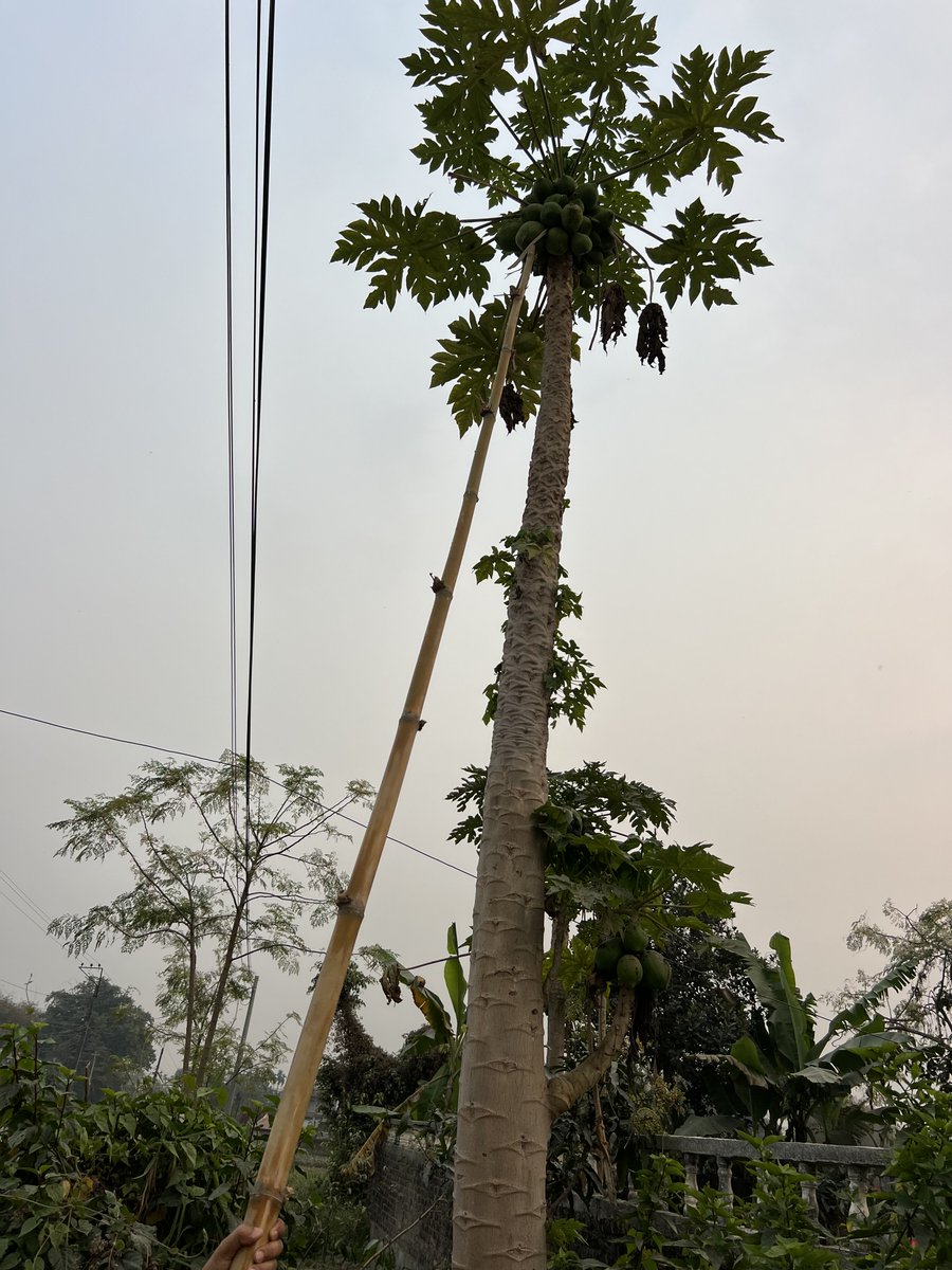 <a href="/farmhousenp/">कृषिजन्य आयात बन्द गरौँ,ग्रामिण गरिबी समाप्त गरौँ</a>