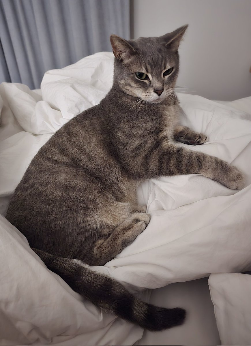 오늘은 쪼리 먼저 재우려구요 🥰