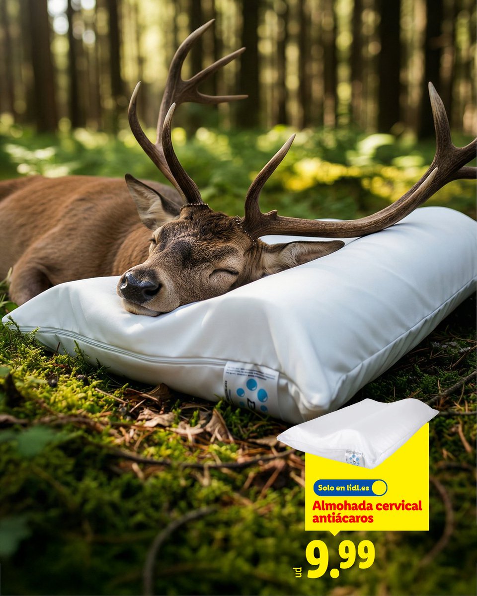Almohada Ciervical.