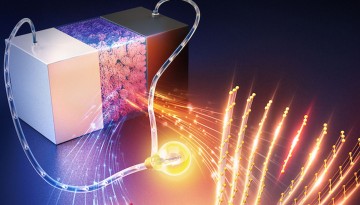 Cornell University tweet media