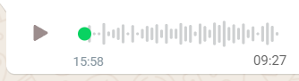 9:30 AM mandan del trabajo un audio por WA de 15 minutos. 
Les debe haber parecido buena idea.