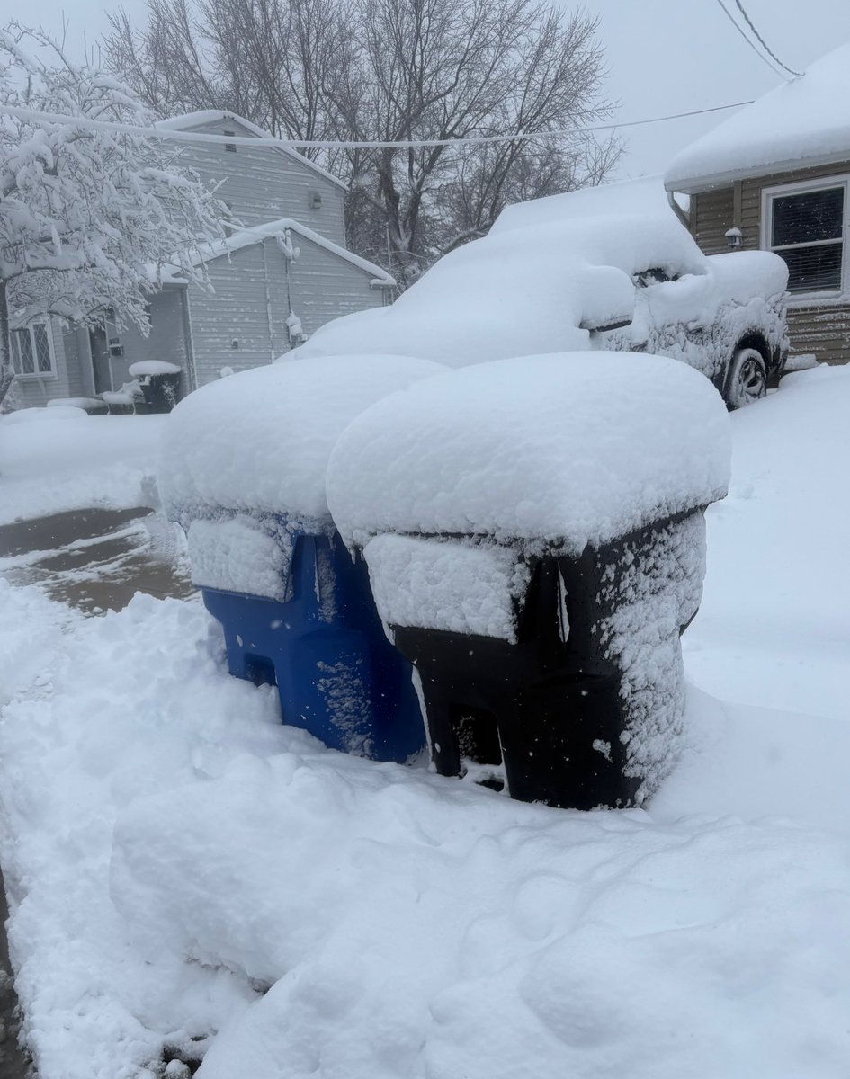 ⚡️Landolfi tweet media