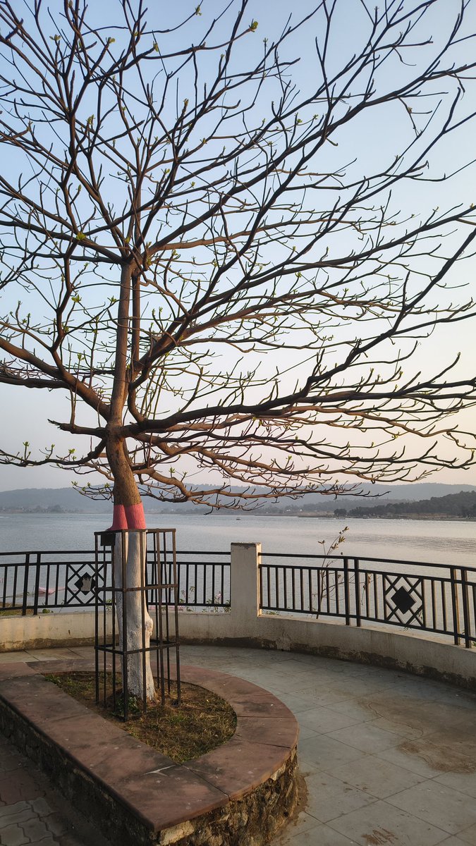 sudharun49's tweet photo. ऐ जाते हुए लम्हों..ज़रा ठहरो,ज़रा ठहरो
#PatratuLake 
#SparshClick #शाम https://t.co/tJ3gfbtIxV
