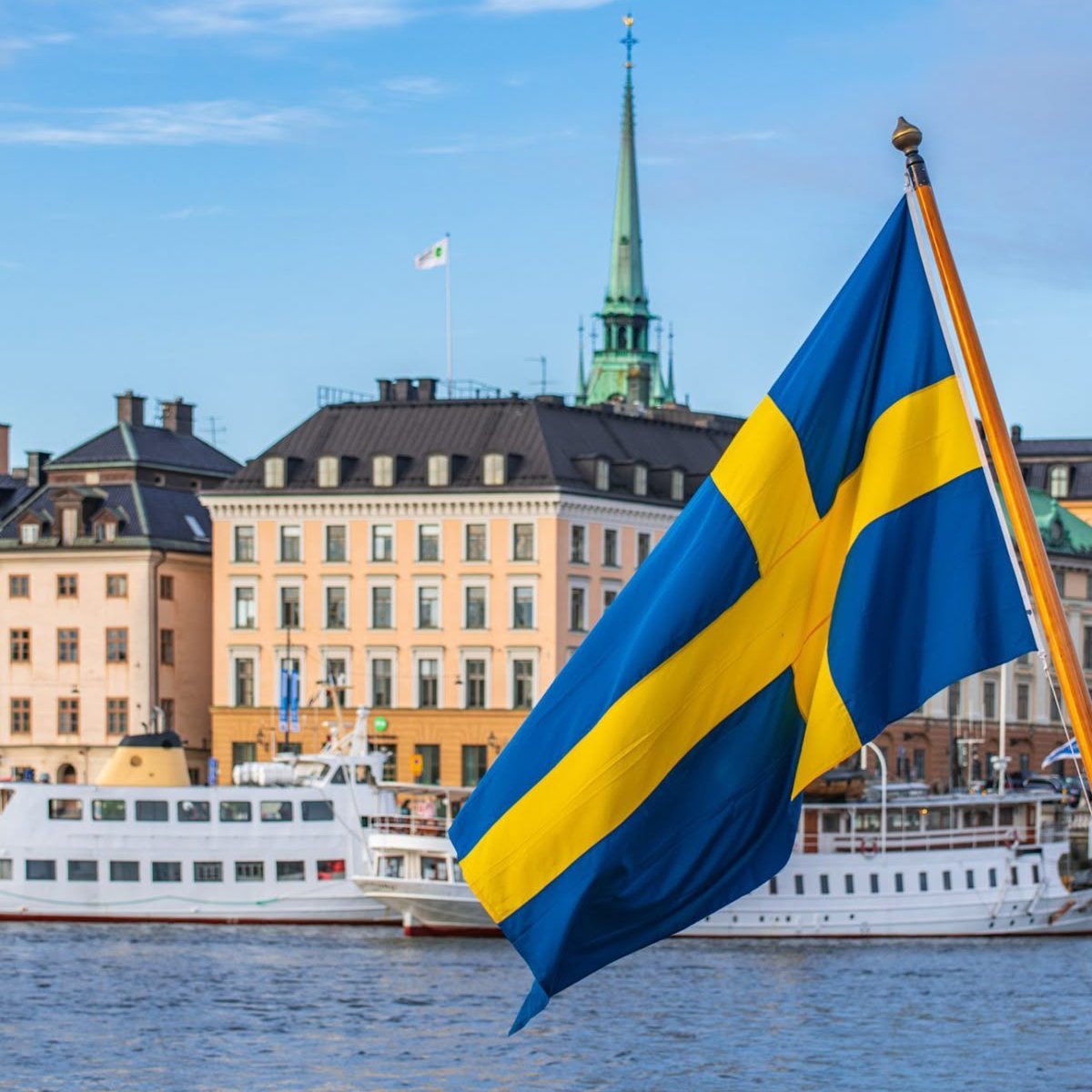 BasedBiohacker tweet media