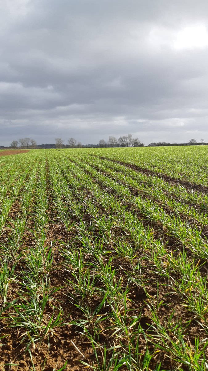 David Huish tweet media