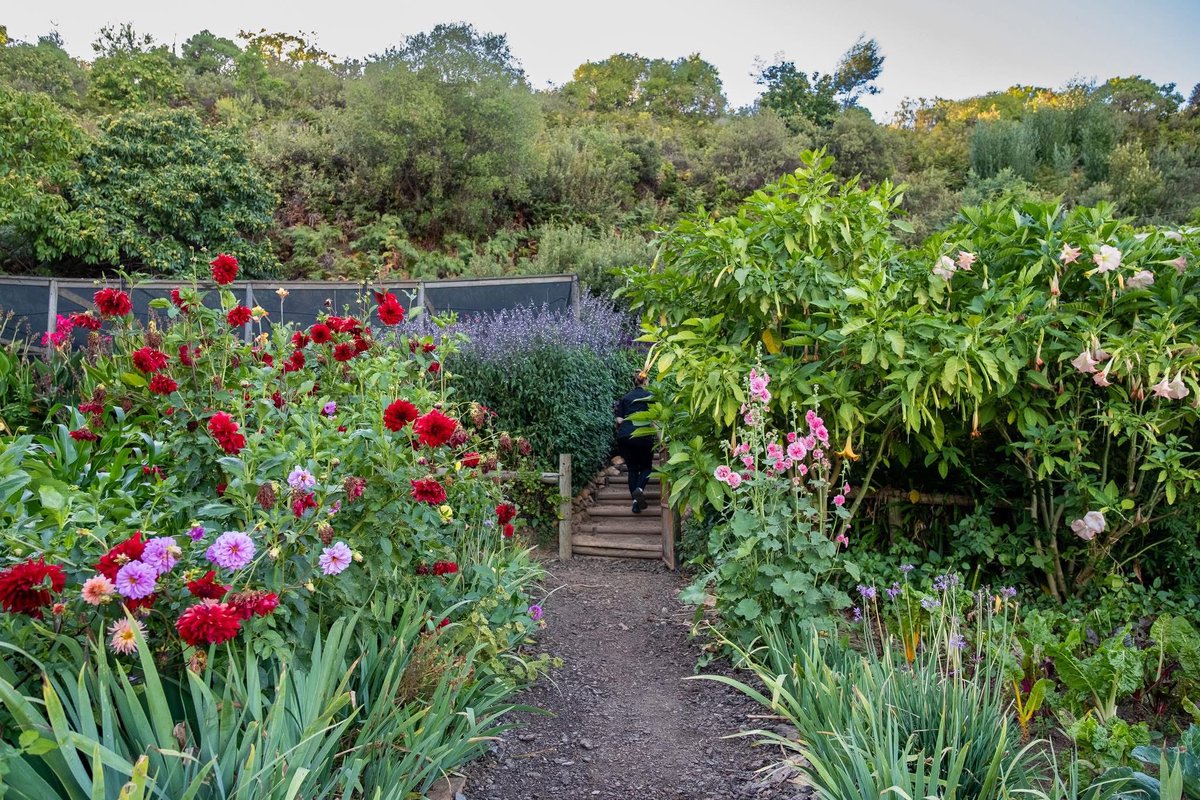 Tokara Restaurant & Deli tweet media