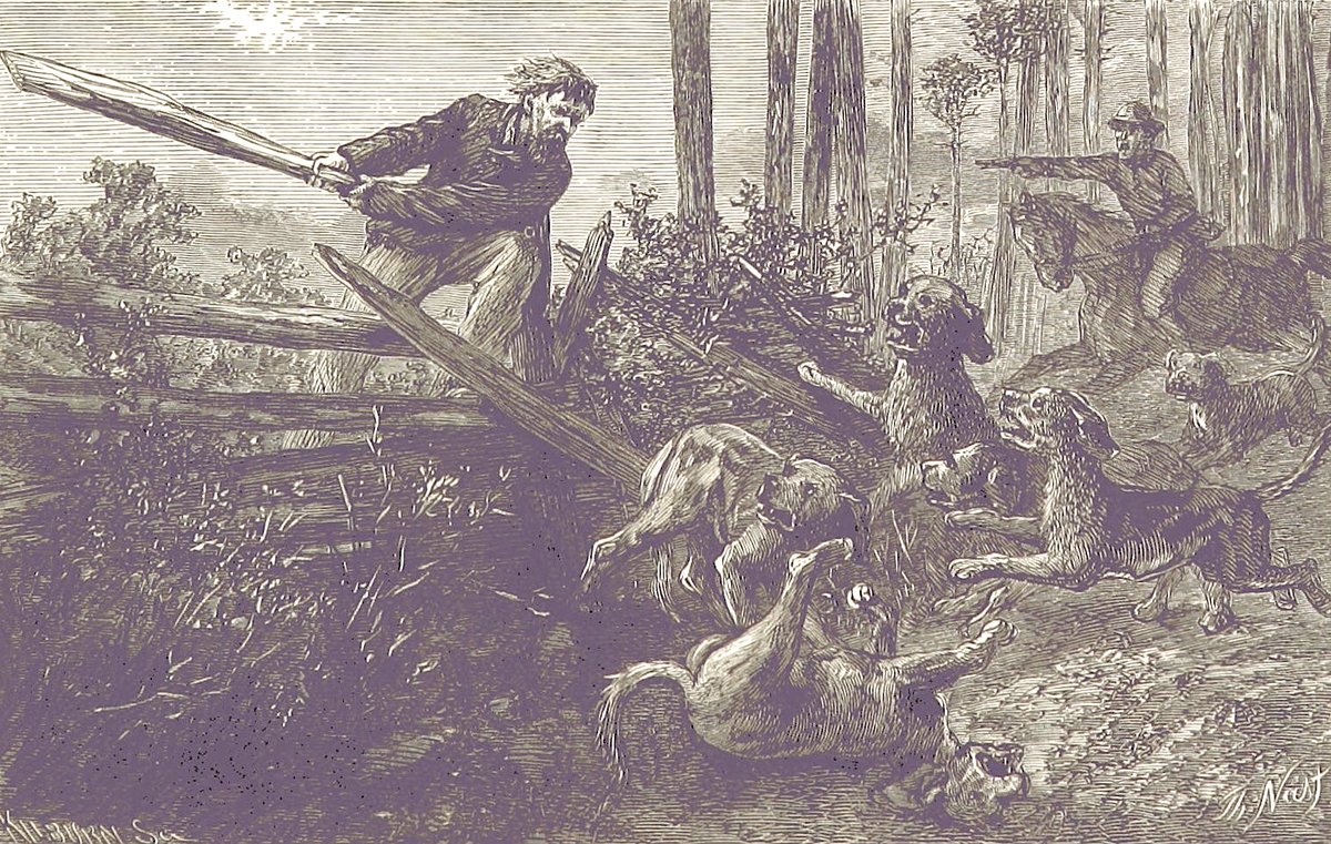 The Civil War Monitor tweet media