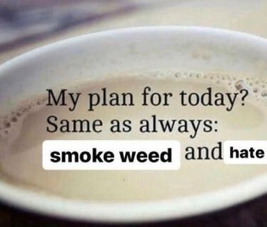 Stoner Barbie (@stonersvilla) on Twitter photo 