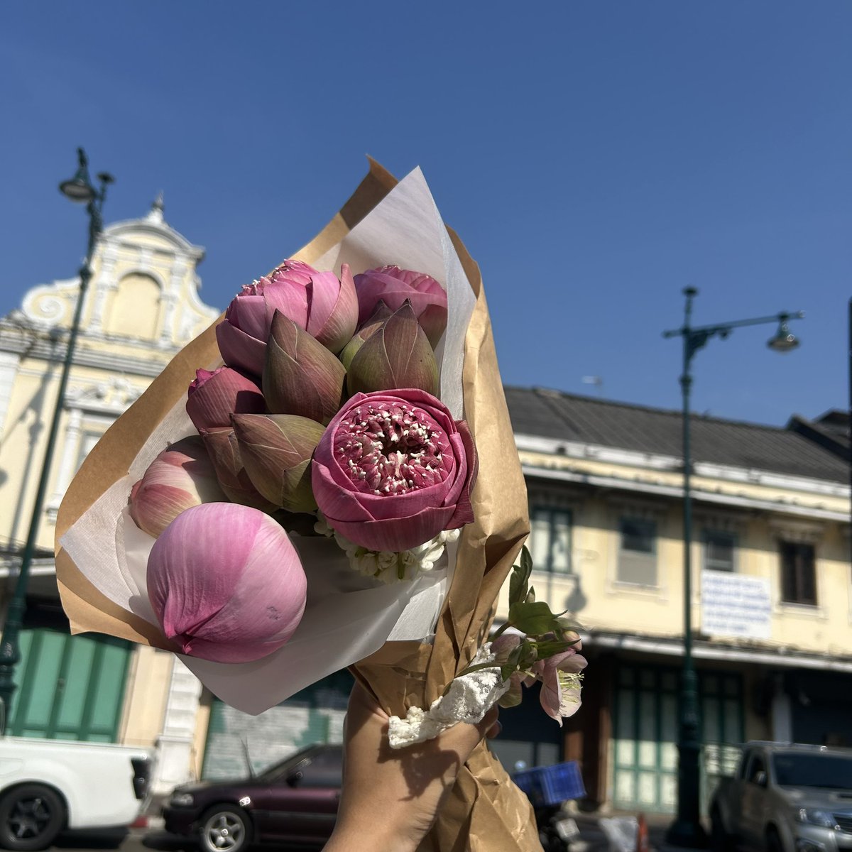 lilyne ഒ tweet media