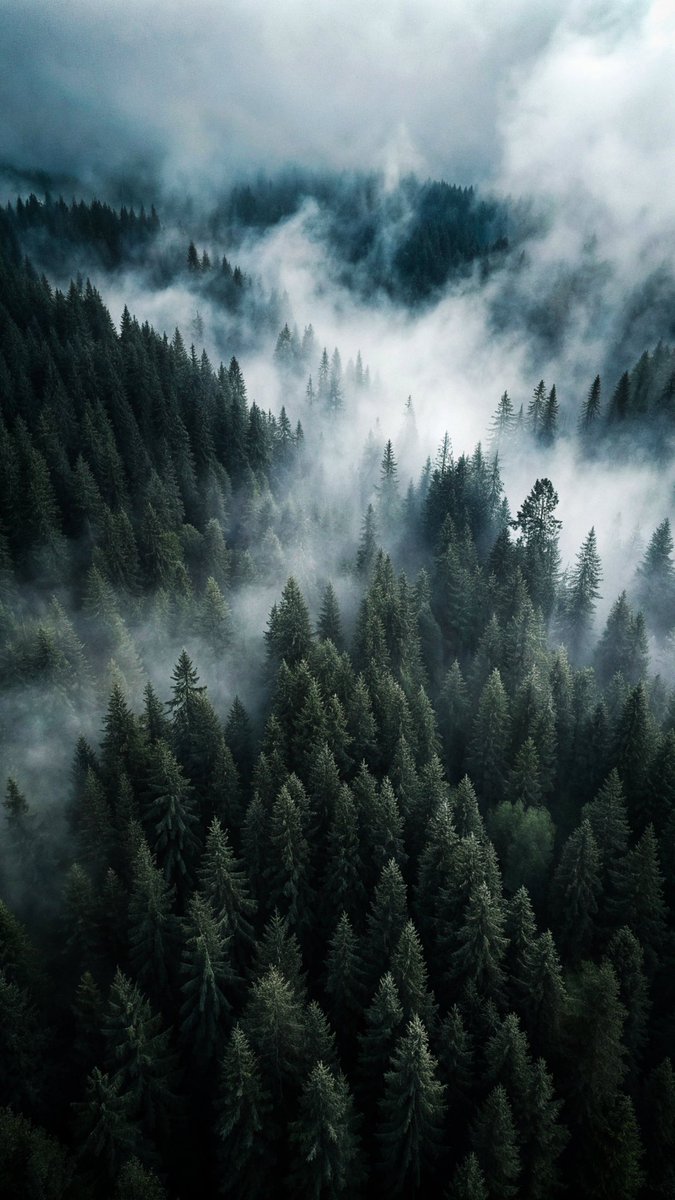 earthcurated's tweet photo. 🍃 https://t.co/o1GRGdy1e7