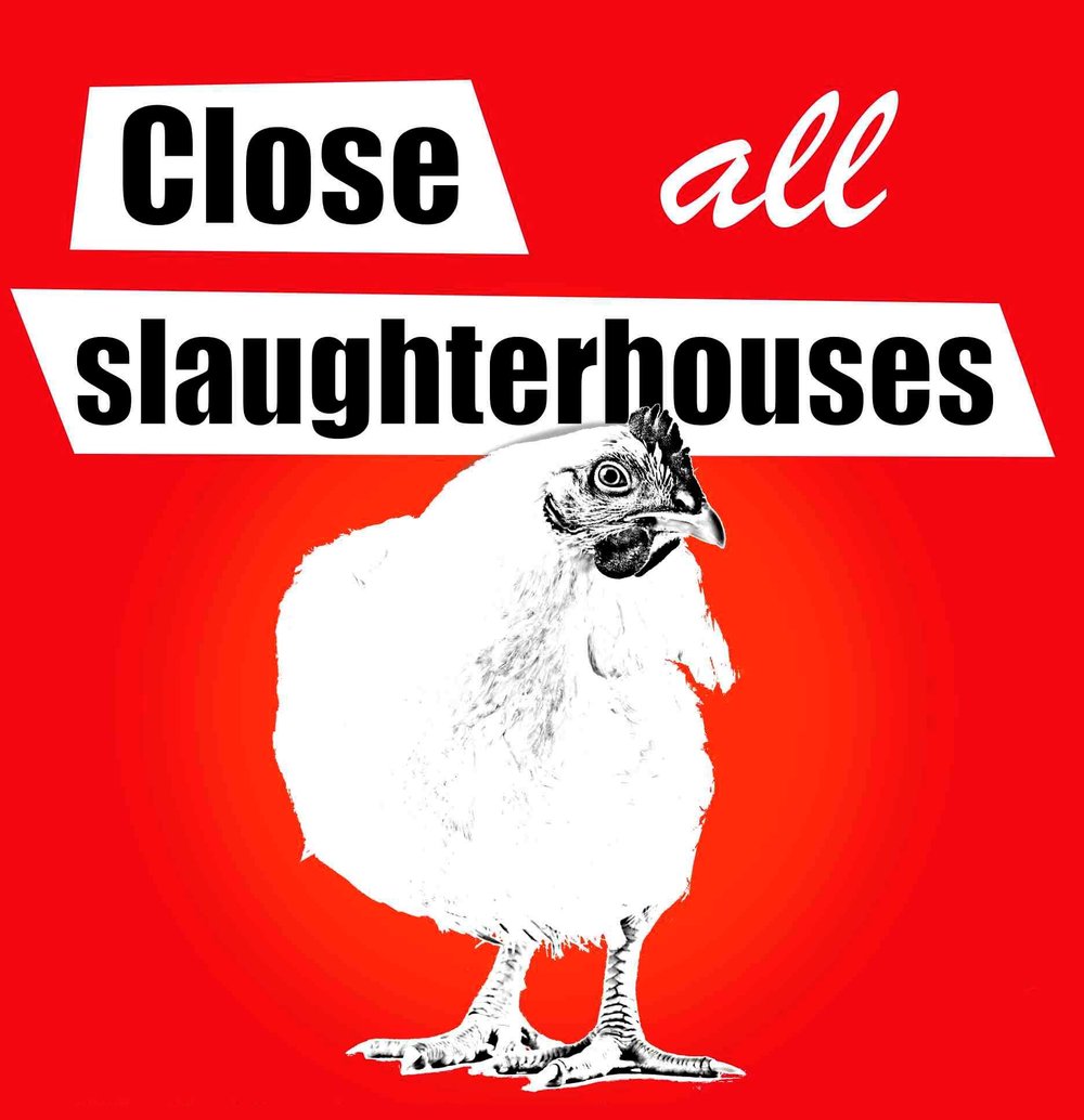 Vegan Future tweet media