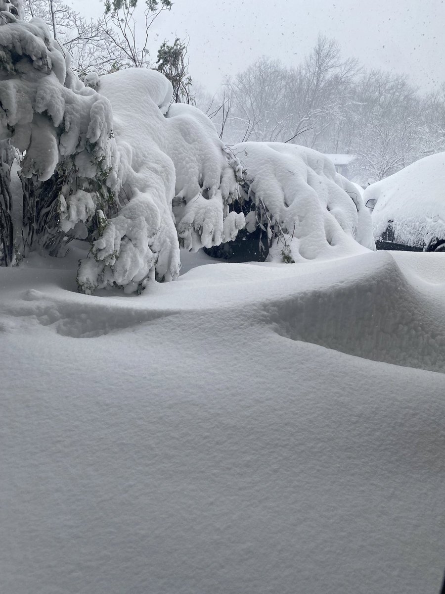 💚🍀Bobby's Bong🍀💚 tweet media