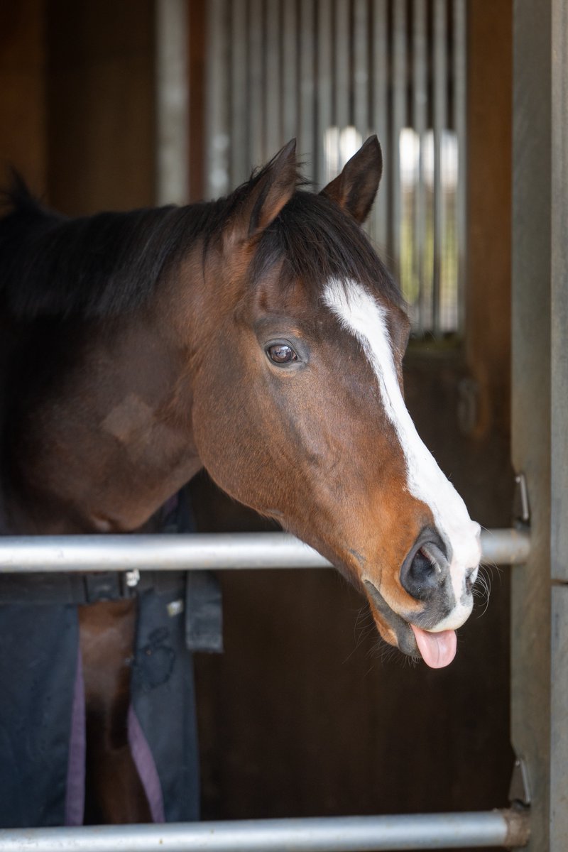 dora (@dora_3121) / Posts / X