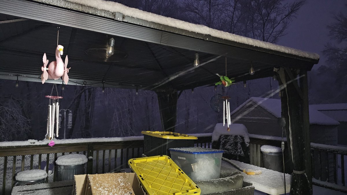 Cortex_Zero's tweet image. The Blizzard of '26. We are getting smacked. #winterstorm #nj