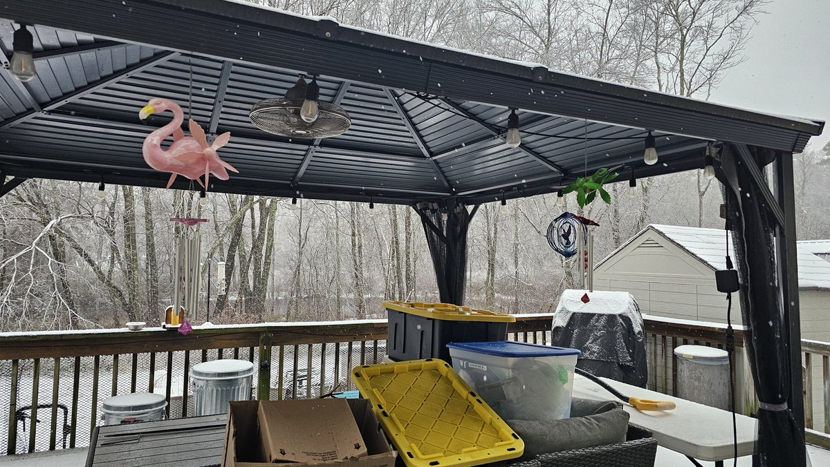 Cortex_Zero's tweet image. The Blizzard of '26. We are getting smacked. #winterstorm #nj