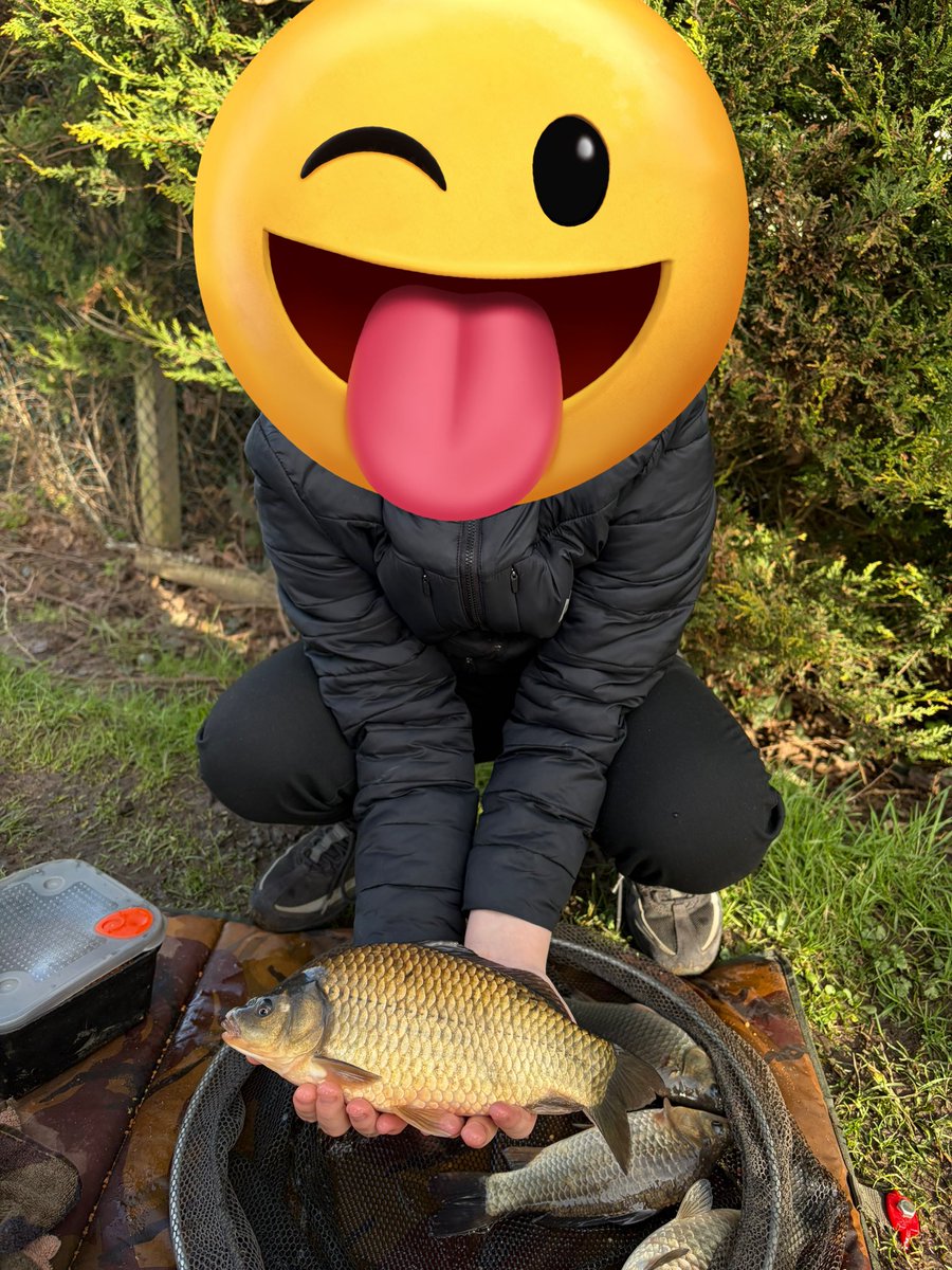 FishingTheMind CIC🎣🧠 ®️ tweet media