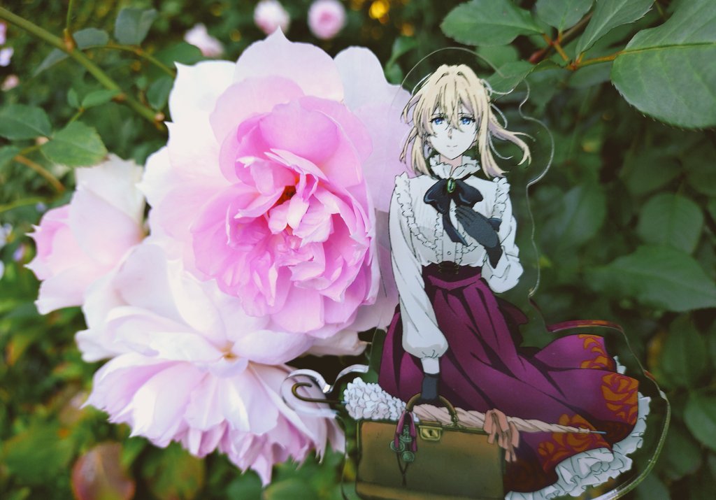 桜子 (@sakuratoichigo) / Posts / X