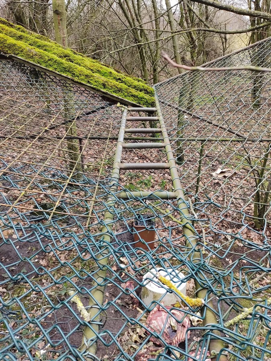 Committee Against Bird Slaughter (CABS) tweet media