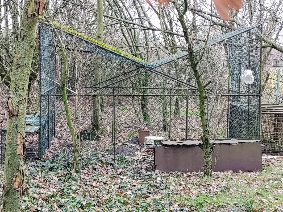 Committee Against Bird Slaughter (CABS) tweet media