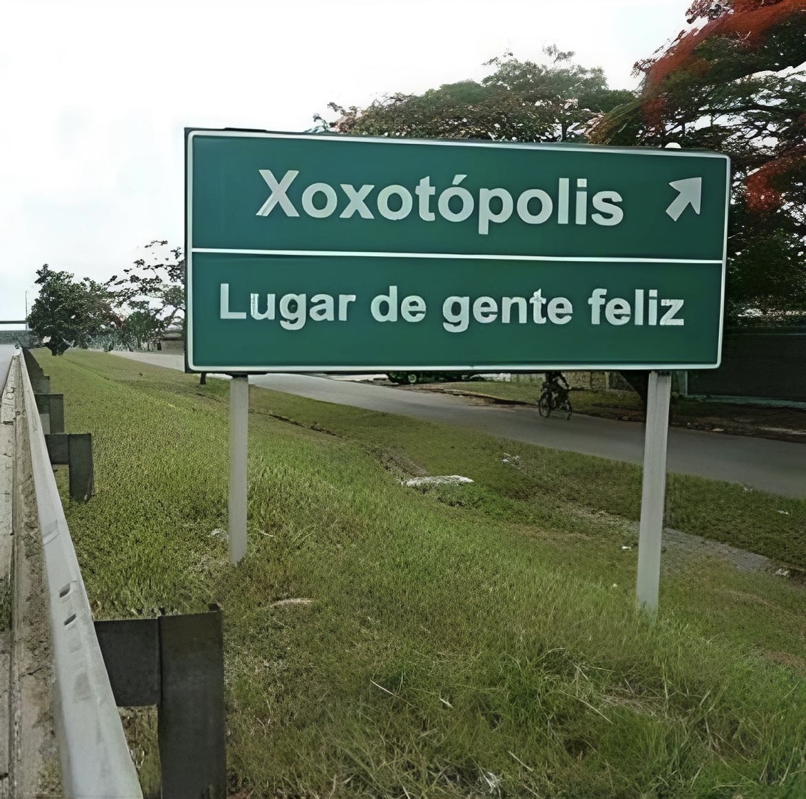 Anúncios estranhos tweet media