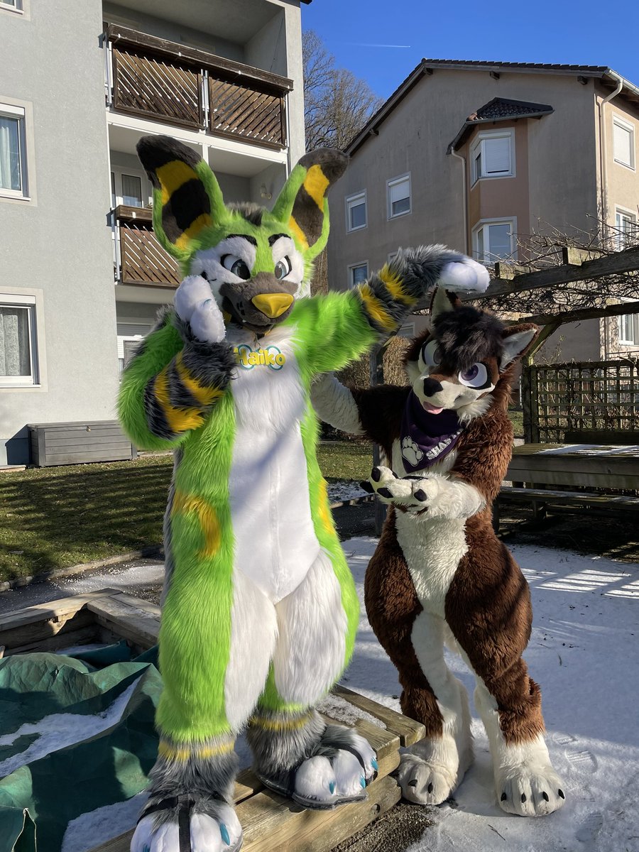 Shasta_Devrik's tweet photo. How I'd love to come back here and relive those days. Even though it was only two days, I was a Husky on cloud nine. Haiko's company made me feel at home, even though my home was miles away.

I hope to see you again soon. I know it will happen, and I can't wait. https://t.co/A2C9qgELq4
