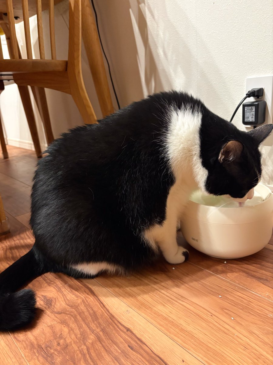 amamels's tweet photo. 寿司食ってバー行って帰ってきたら想像以上に自分が酔っている。みたらしを見習うべきだな。 https://t.co/aZGEMXZvsH