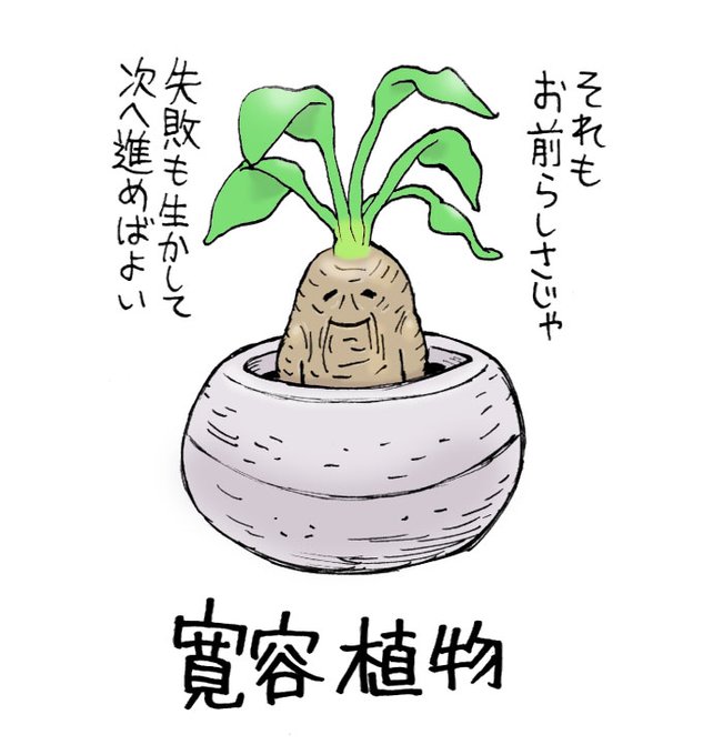 過去らくがきのコーナー。
寛容植物 